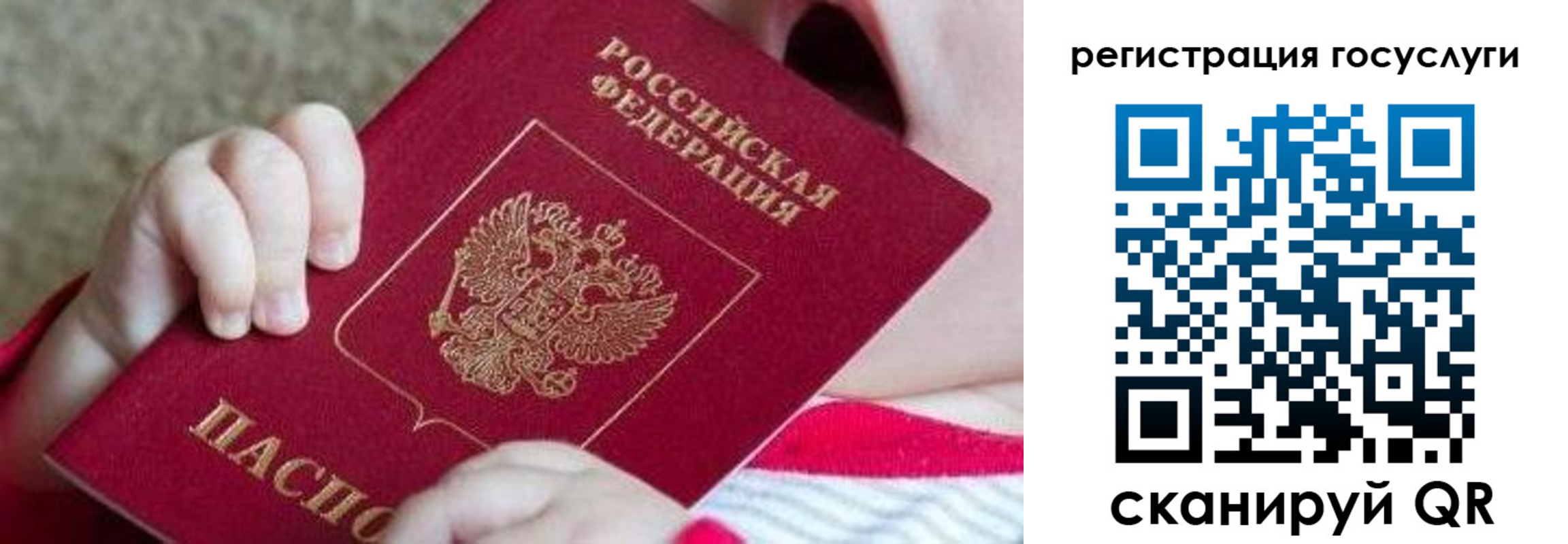 регистрация для школы в Камчатском крае